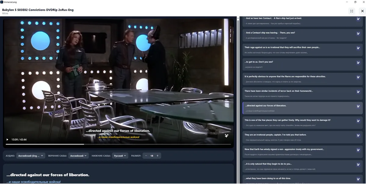 Video player with dual subtitles screenshot